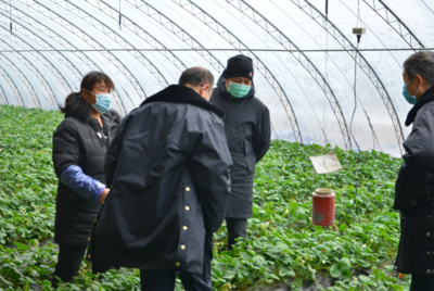 强化春节期间自产农产品安全监管, 农业农村部门督导检查人员在行动